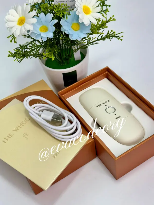 THE HISTORY OF WHOO Cheongidan Rejuvenating Pro-Radiance Aging-Sign Solusionist (300 g)